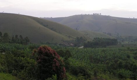 Blogging from the Frontlines of TB Image